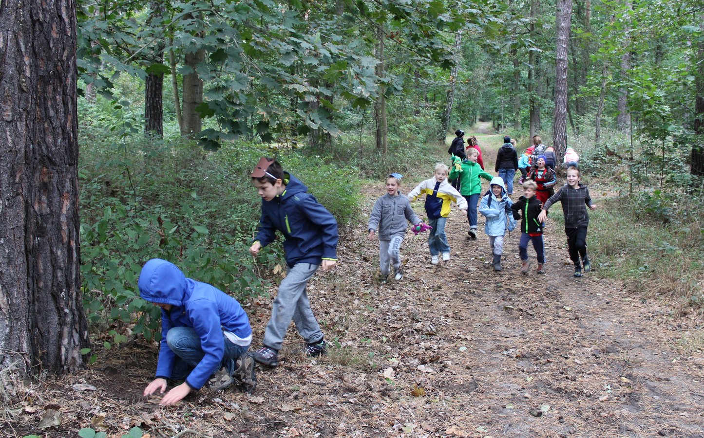 Titelbild zur Veranstaltung Waldtrainer*innenausbildung